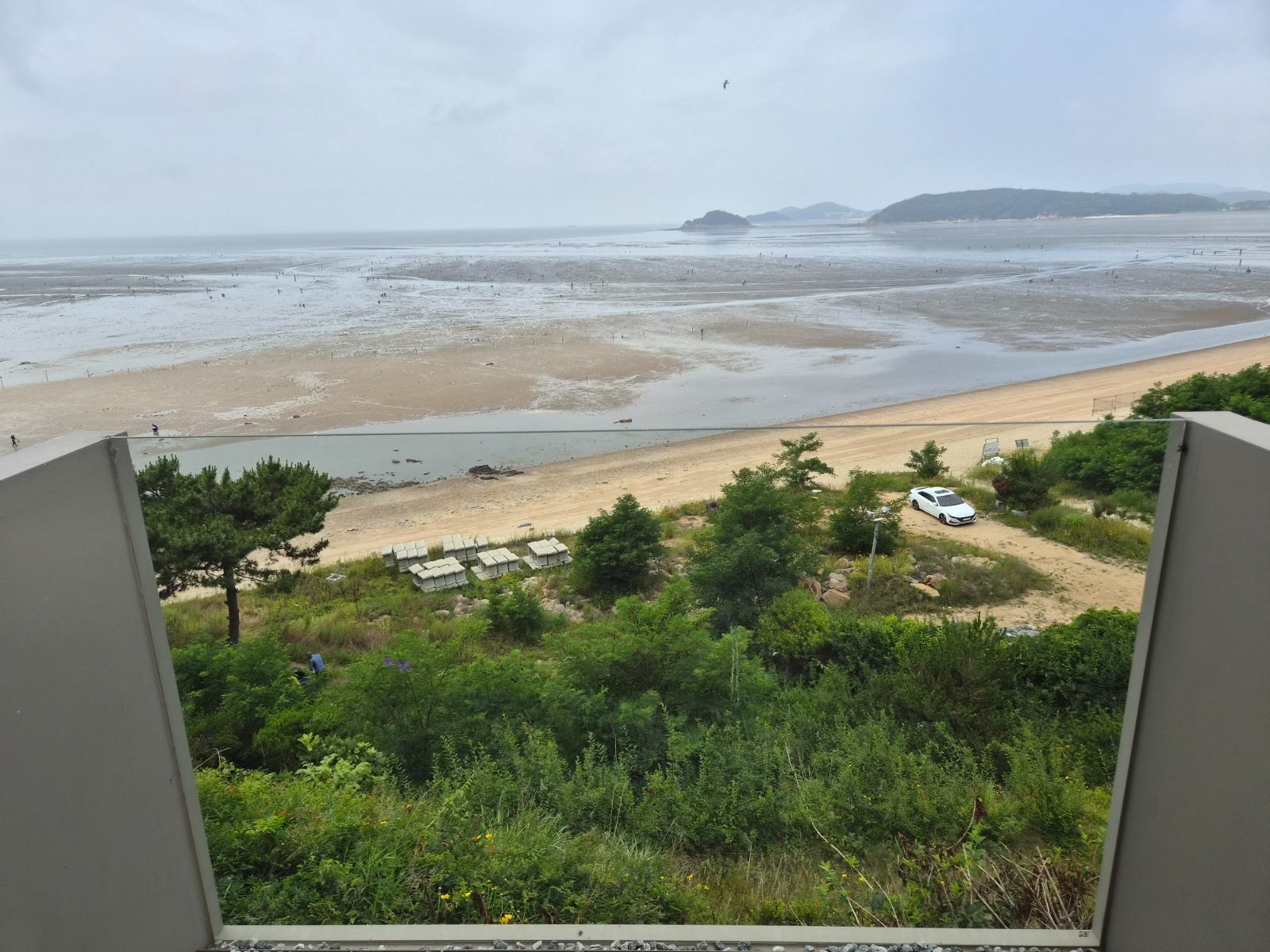 Wide view of Masian Beach from inside Emcliff cafe, with the tide out and mudflat, sand and a distant island visible below.
