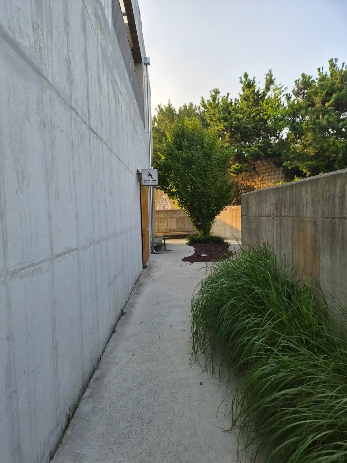 Concrete walled path with tall grasses leading to Swallow cafe on Yeongjong Island